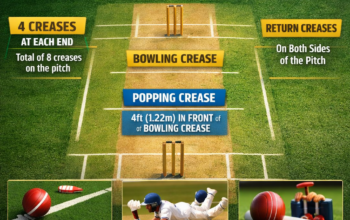 how many creases are there in cricket?