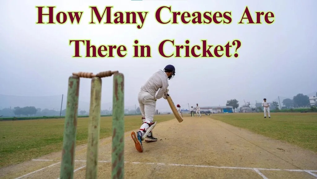 how many creases are there in cricket?